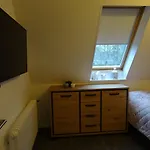 شقة 